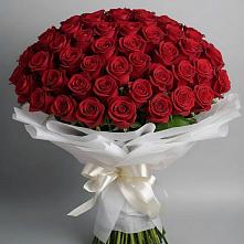 Букет 101 Красная роза Блэк Мэджик в Чистогорском