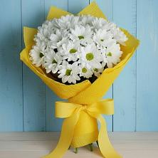 Букет цветов из:  Хризантемы в Чистогорском