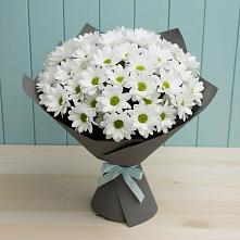 Букет цветов из:  Хризантемы #REPLACE_PRED# Чистогорском