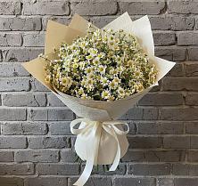 Букет цветов из:  Ромашки #REPLACE_PRED# Чистогорском