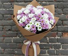 Букет цветов из:  Хризантемы #REPLACE_PRED# Чистогорском