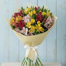 Букет цветов из:  Альстромерии в Чистогорском