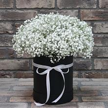Цветочная композиция из Гипсофила в шляпной коробке в Чистогорском