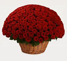 Премиум букет из: Розы в Чистогорском